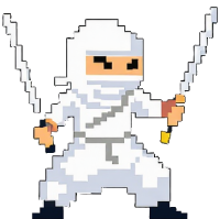 White ninja